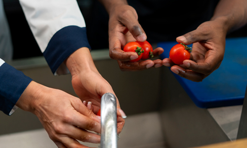 RUTA DE FORMACIÓN EN MANIPULACIÓN DE ALIMENTOS