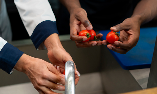 RUTA DE FORMACIÓN EN MANIPULACIÓN DE ALIMENTOS