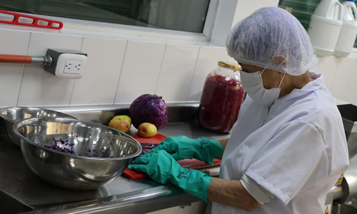 RUTA DE FORMACIÓN EN MANIPULACIÓN DE ALIMENTOS