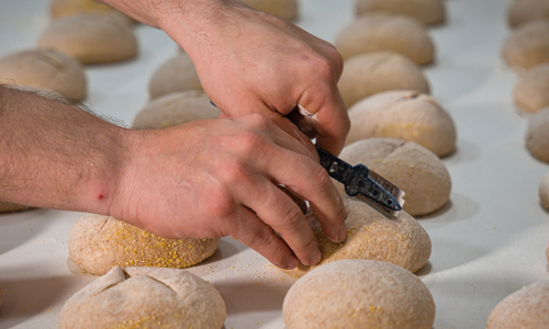 TALLER DE PANADERÍA