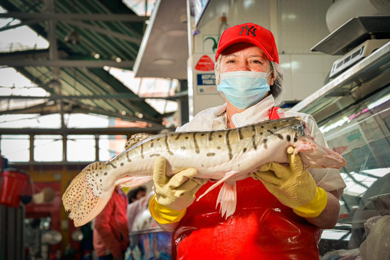 Adquiera su pescado de Semana Santa en las Plazas Distritales de Mercado