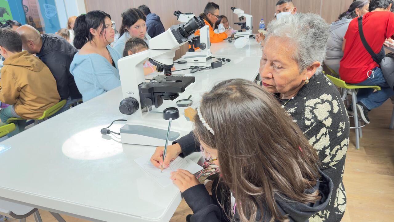 Vendedores informlaeas en maloka