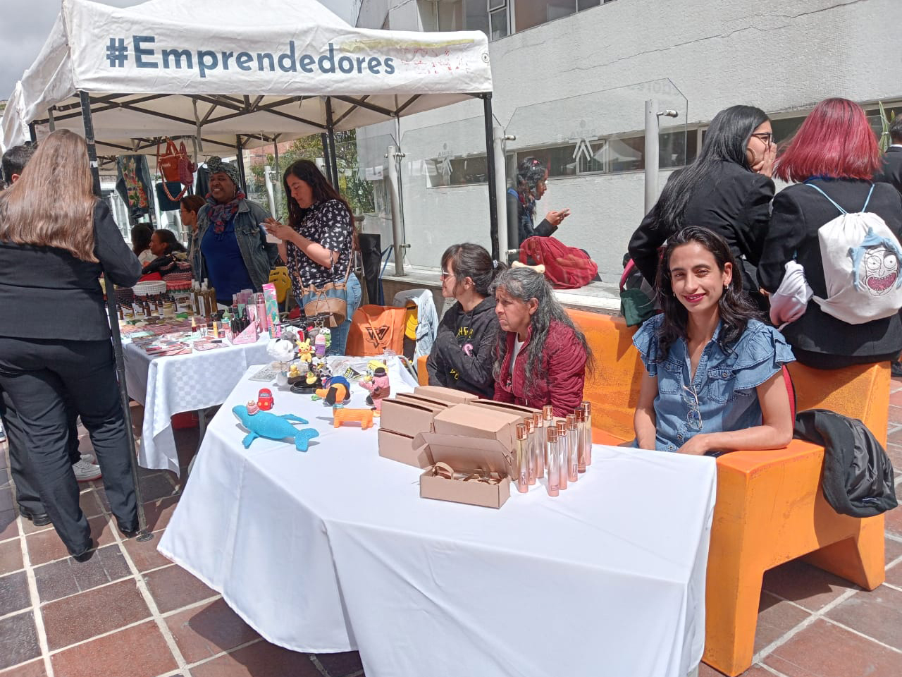 Cooperación alemana E IPES